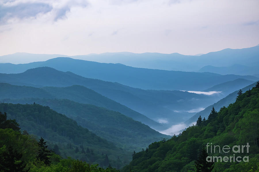 Morning shaconage, Smoky mountains Photograph by Theresa D Williams