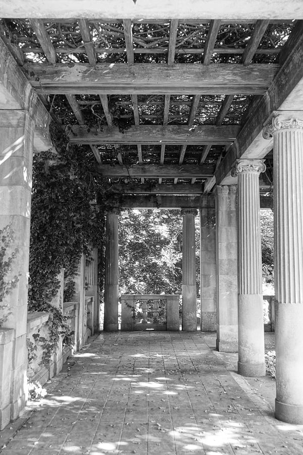 Shade in the Harkness Gardens BW Photograph by Patricia Caron