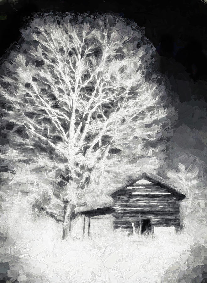 Shade of a Tree fx Digital Art by Dan Carmichael