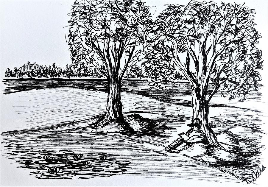 Shade Trees Drawing by Tammy Nara