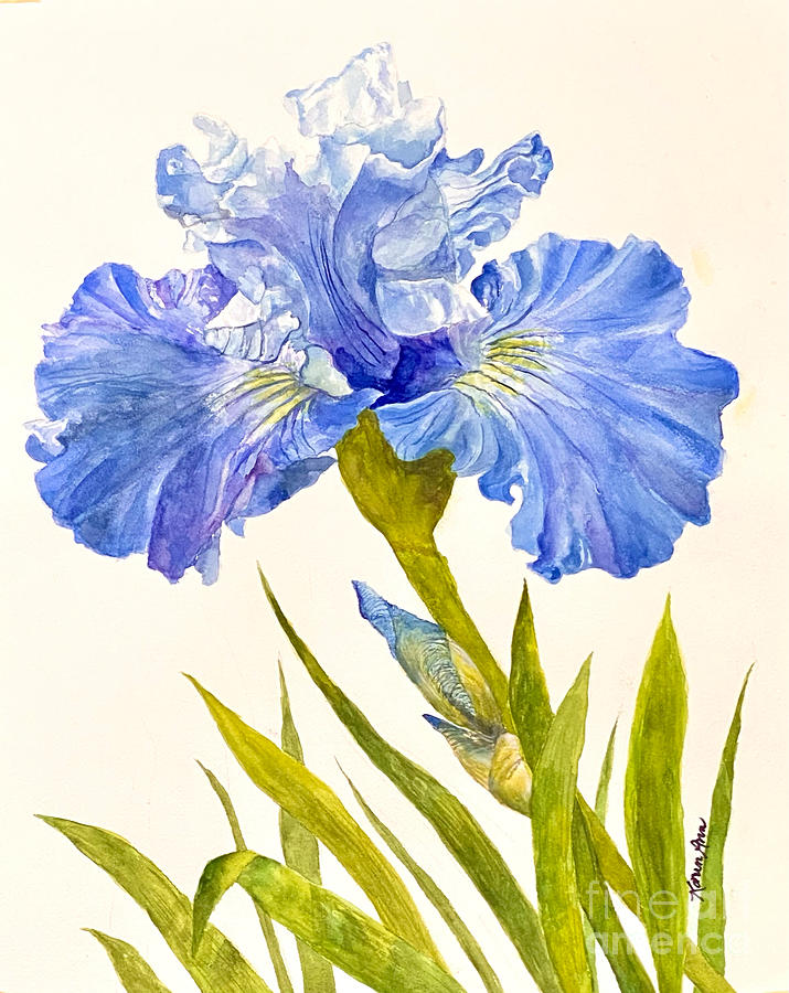 Shades of Blue Iris Painting by Karen Ann