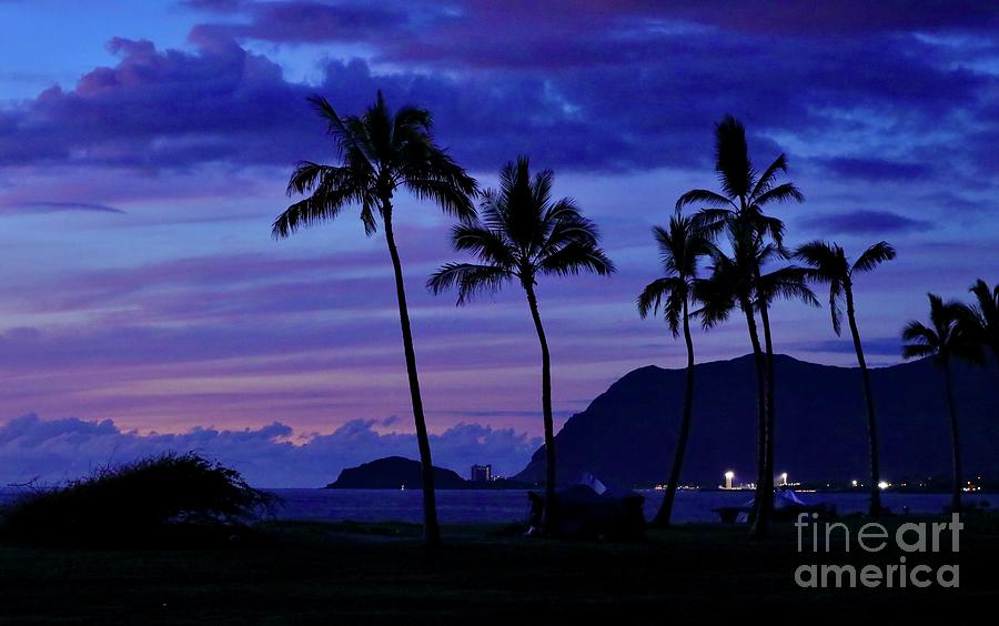 Shades of Night Hawaii Photograph by Craig Wood