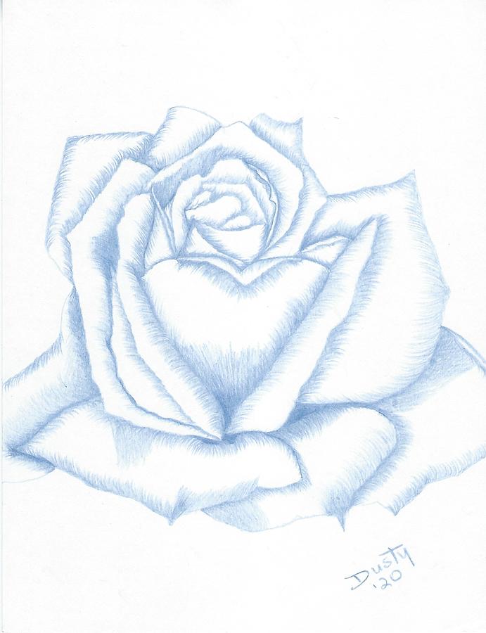 Shades Of Periwinkle Drawing By Dusty Reed