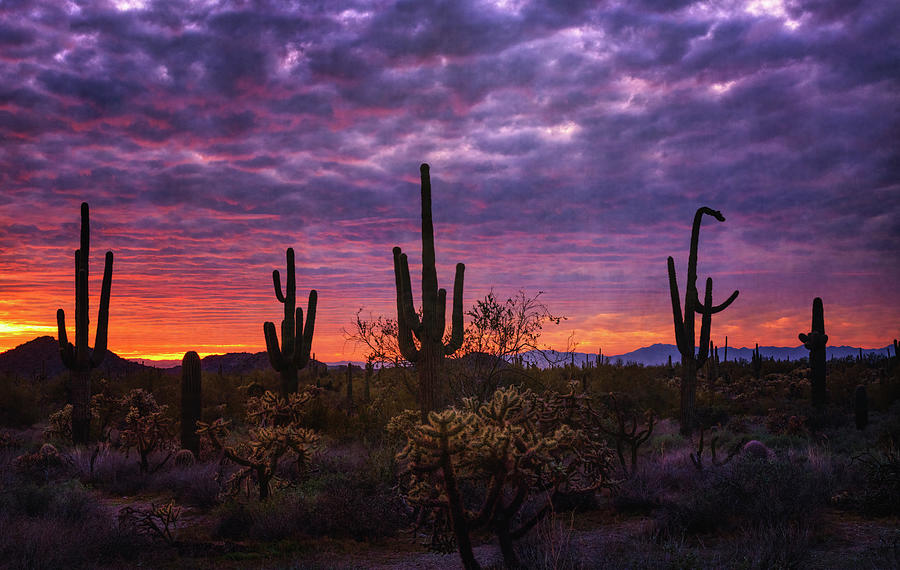 Shades Of Purple Sunset Photograph by Saija Lehtonen - Fine Art America