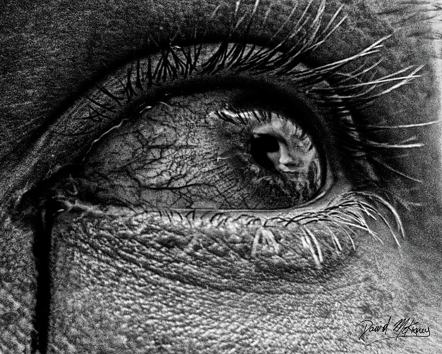 Eye Digital Art - Shades of Sympathy by David McKinney