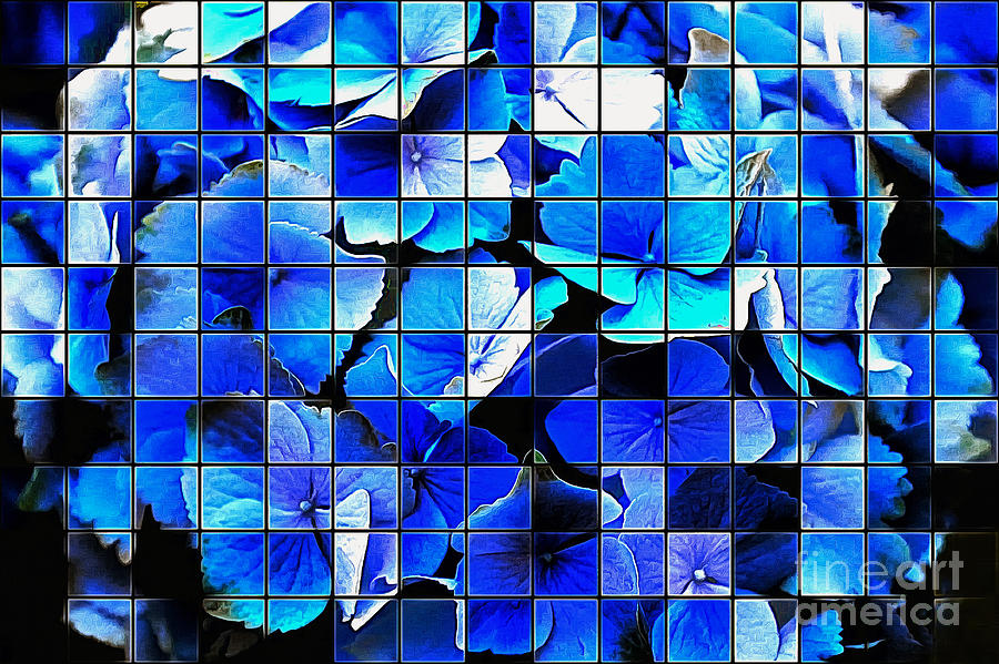 Shades of the Blues Hydrangeas Photograph by Sea Change Vibes