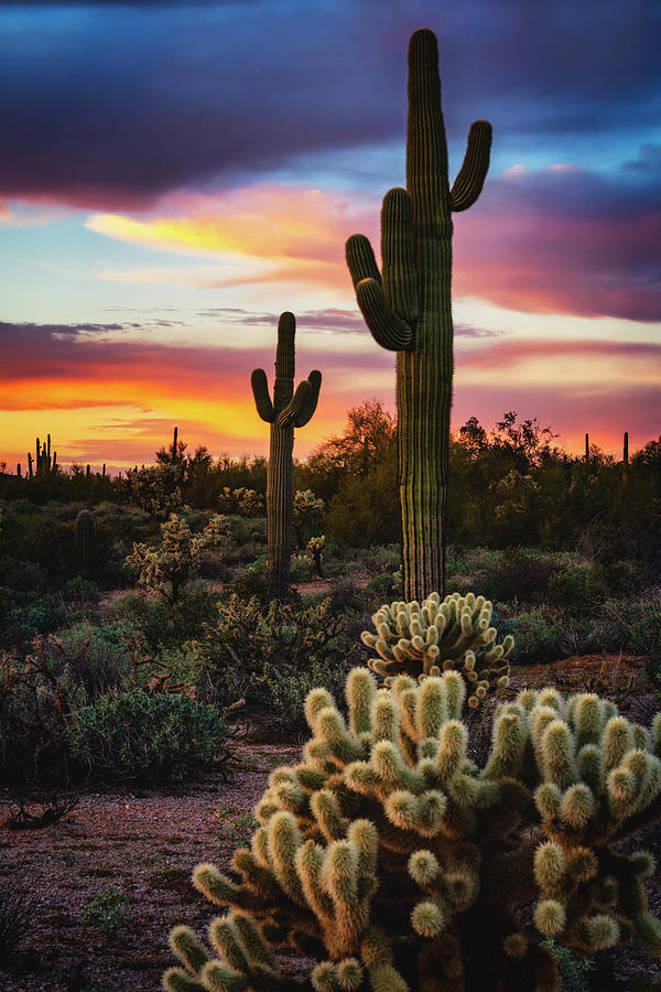 Shades Of The Desert Sunset Photograph by Saija Lehtonen - Fine Art America