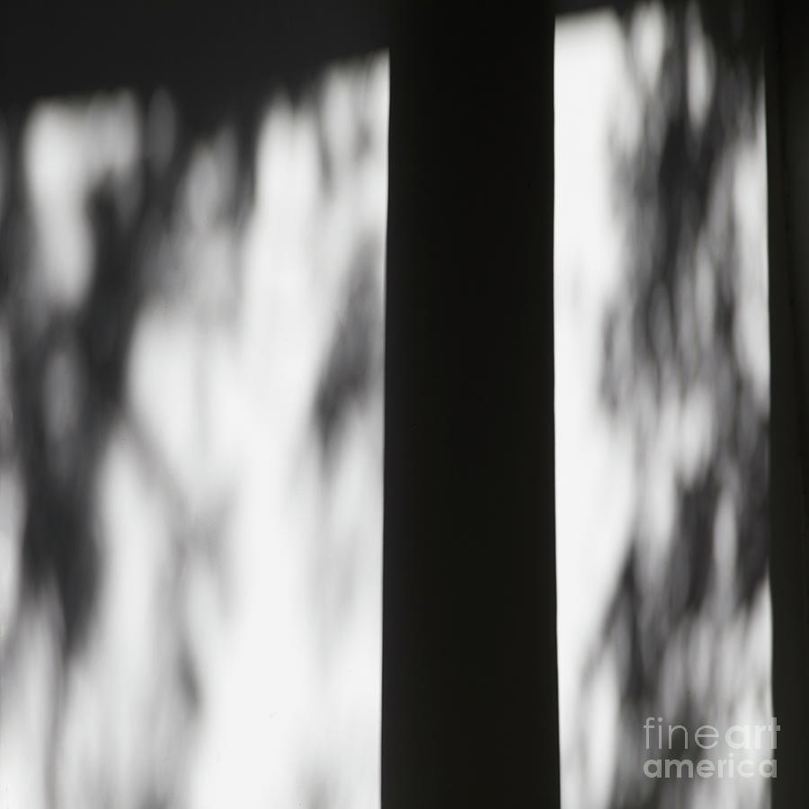Shadow Abstract 29 Photograph by Tony Cordoza