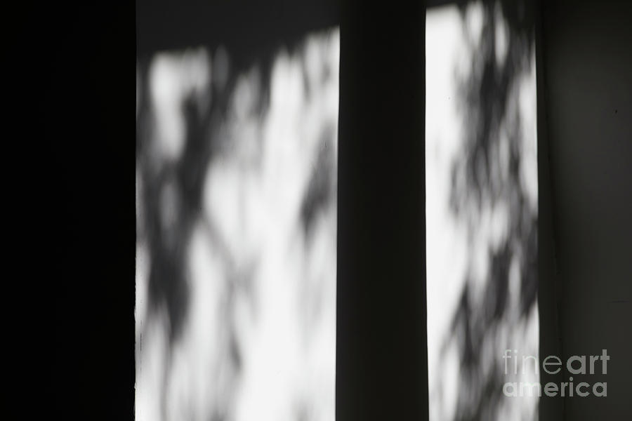 Shadow Abstract 30 Photograph by Tony Cordoza