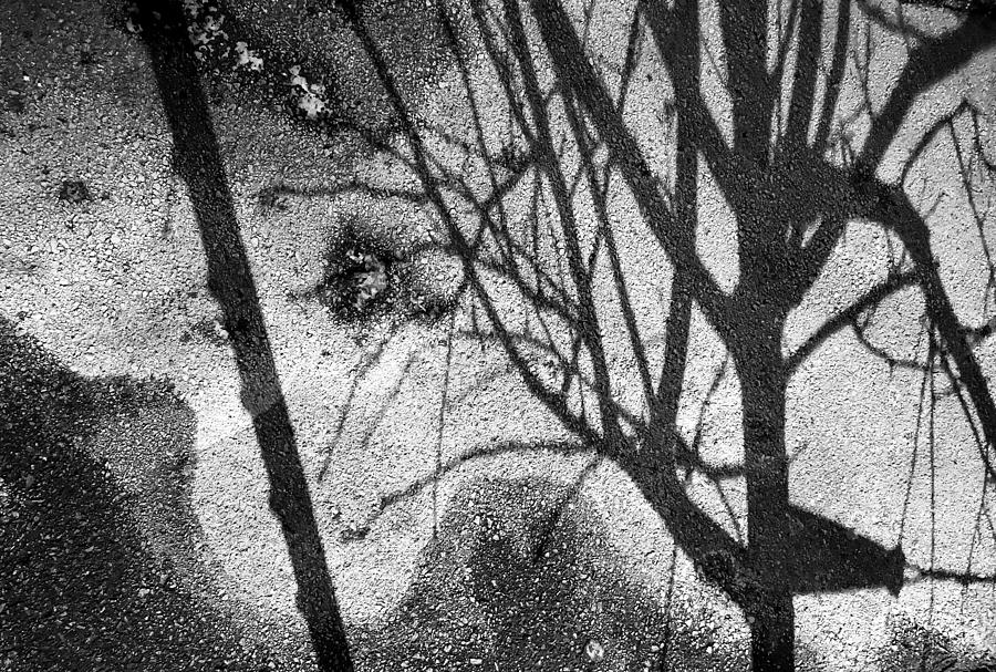 Abstract Photograph - Shadow Abstract by Linda McRae