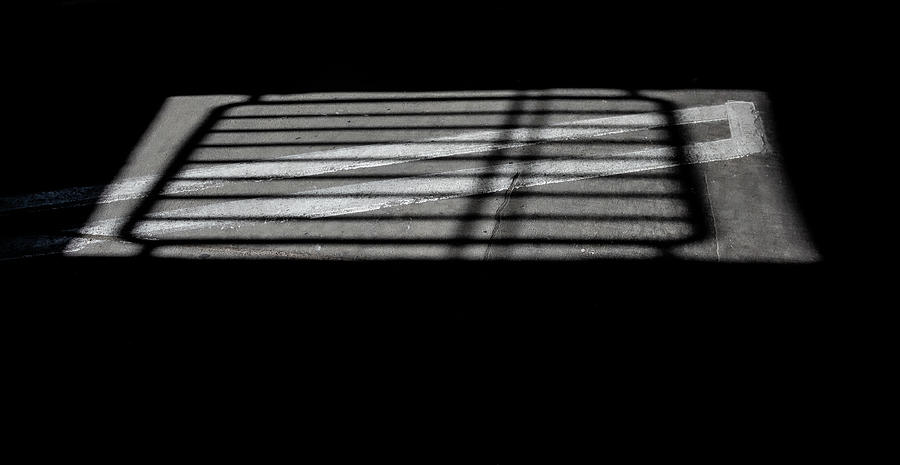 Shadow Box Photograph by Bill Wiebesiek
