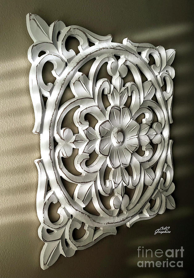 Shadow Carved Medallion Photograph by CAC Graphics