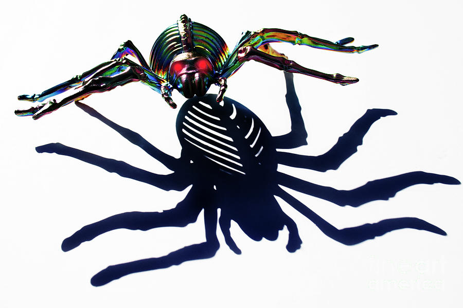 Shadow Caster Photograph by Bob Christopher Fine Art America