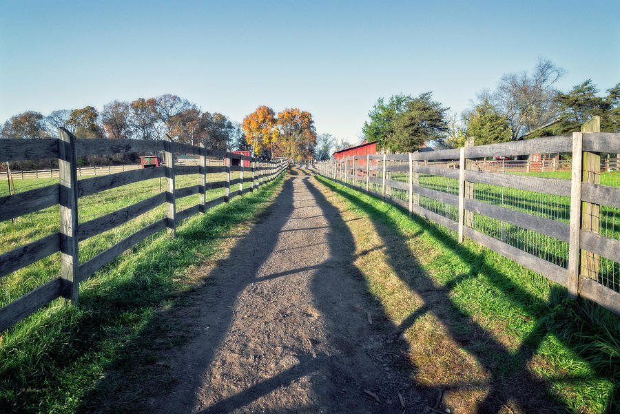 Shadow Fences Photograph by Brian Wallace - Fine Art America