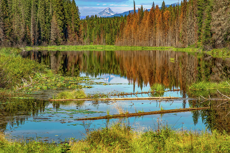 Shadow Lake Photograph by Michael DeGrenier Shadow Lake Photograph by Michael DeGrenier