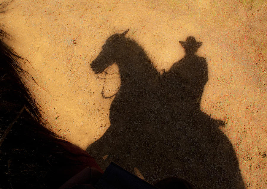 Shadow of a horse and cowboy rider in the desert under a hot afternoon sun - horses mane showing Photograph by Bill Boch
