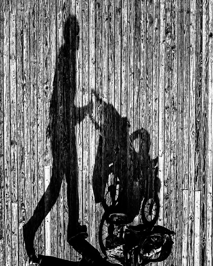 Shadow Walk  2190bw Photograph by Karen Celella