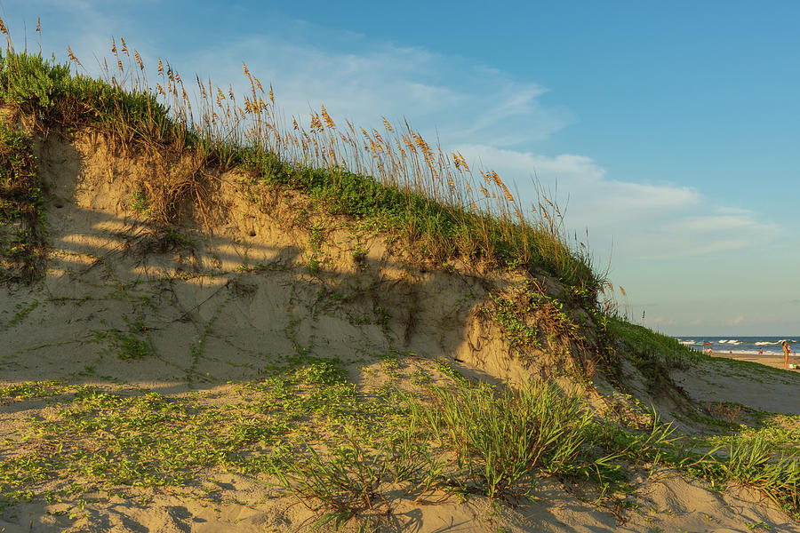 Shadowed Dunes Photograph by Liz Albro