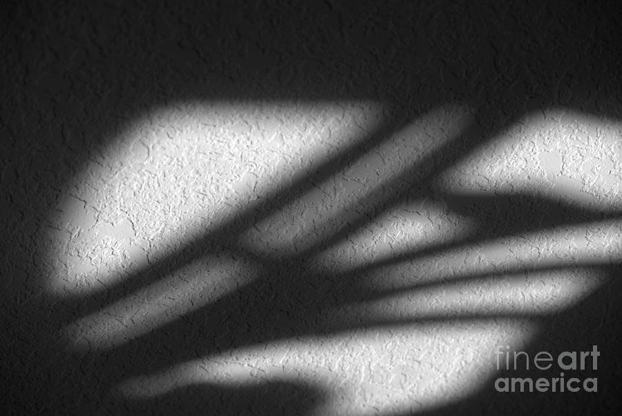Shadow on the Ceiling Photograph by Kae Cheatham