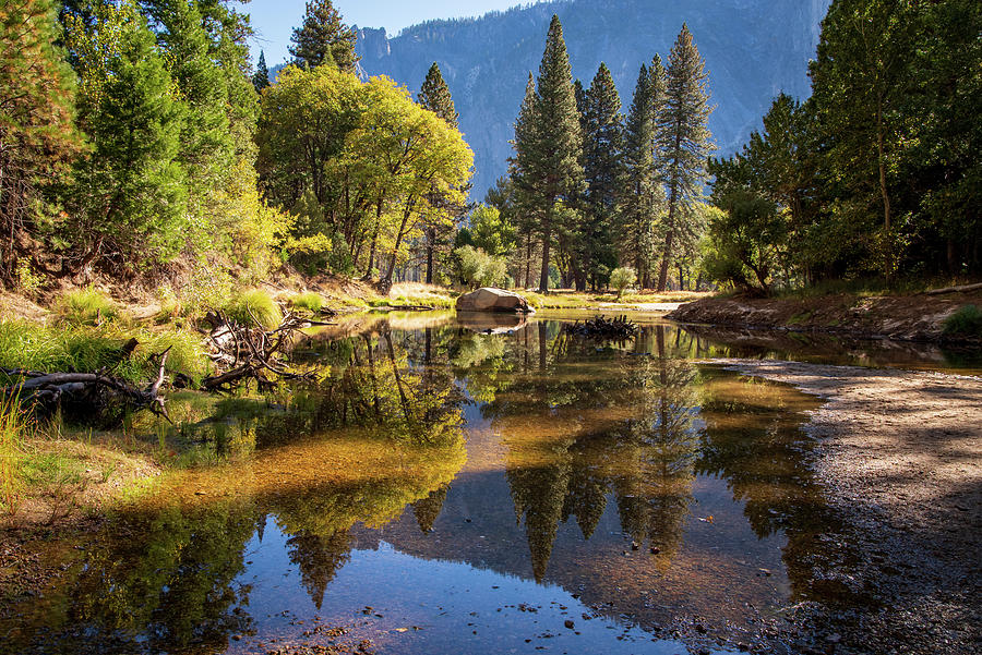 Shadows and light on the river Photograph by Stephen Sloan | Fine Art ...