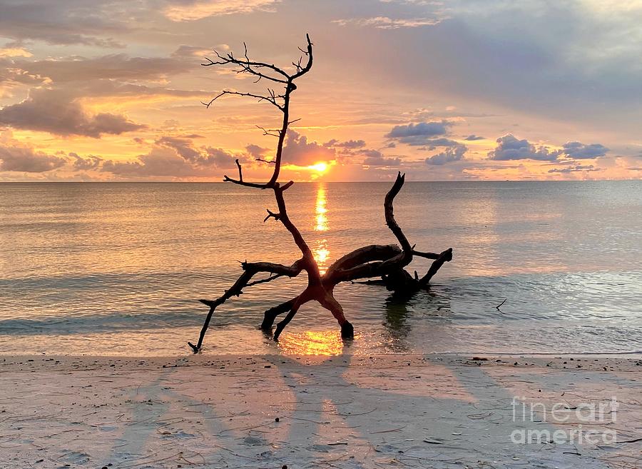 Shadows at Sunset Photograph by Donald Sawin Shadows at Sunset Photograph by Donald Sawin