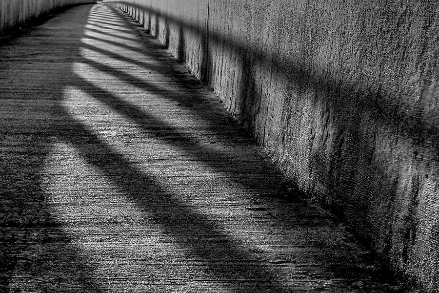Shadows in Black and White Photograph by Robert Harris