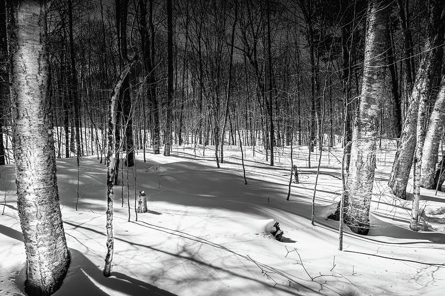 Shadows in the Adirondacks Photograph by David Patterson