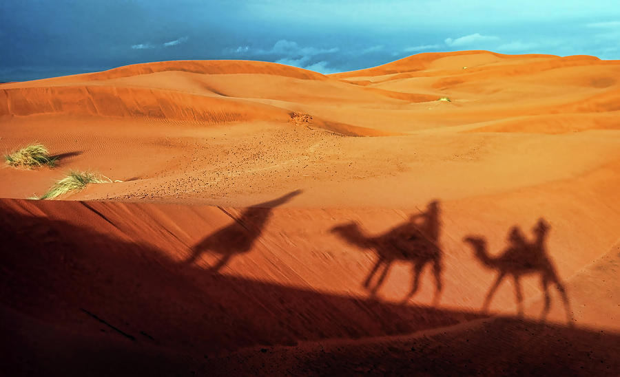Shadows Of Desert Photograph by Alexandras Photography