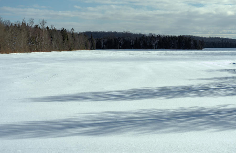 Shadows On Snow 8 Photograph by Lyle Crump - Fine Art America