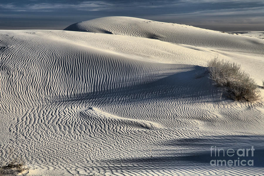 Shadows On The Windblown Salt Basin Dunes Photograph by Adam Jewell
