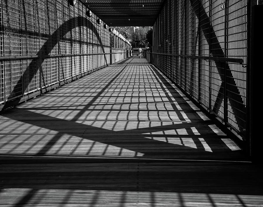 Shadows Reaching Photograph by Gerri Bigler