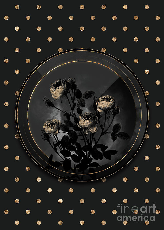 Shadowy Black Burgundian Rose Botanical Art with Gold Art Deco Mixed Media by Holy Rock Design