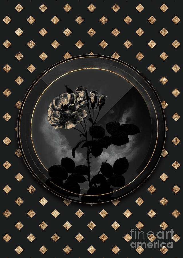 Shadowy Black Damask Rose Botanical Art with Gold Art Deco Mixed Media by Holy Rock Design