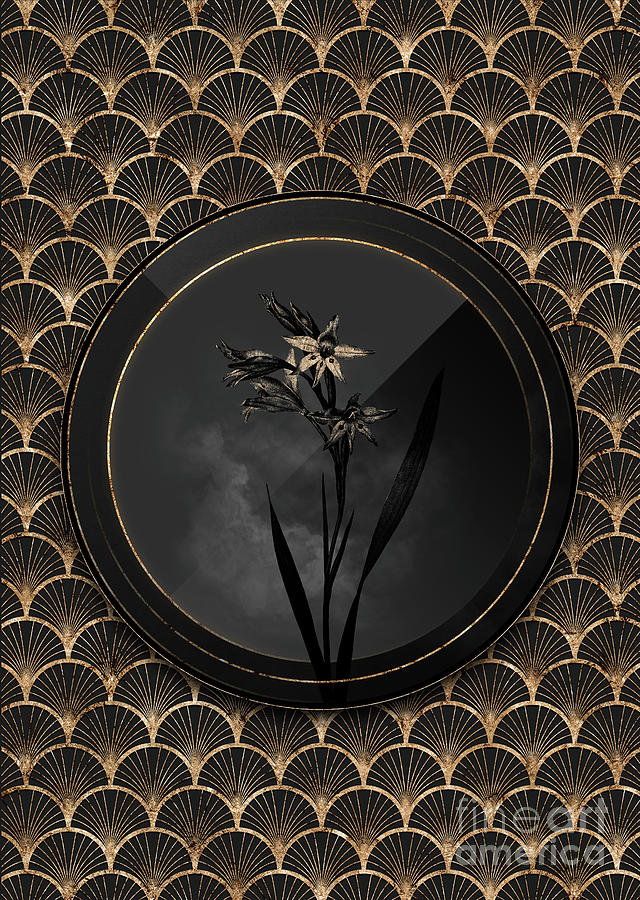 Shadowy Black Gladiolus Cuspidatus Botanical Art with Gold Art Deco Mixed Media by Holy Rock Design