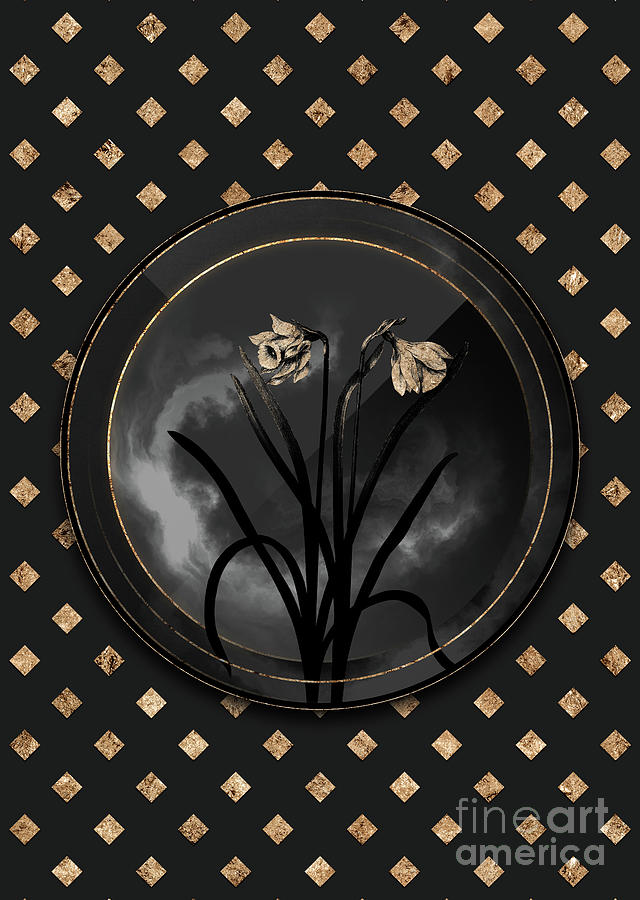 Shadowy Black Narcissus Candidissimus Botanical Art with Gold Art Deco Mixed Media by Holy Rock Design