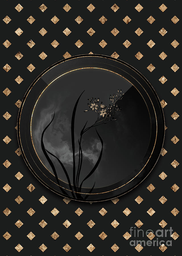 Shadowy Black Phalangium Bicolor Botanical Art with Gold Art Deco Mixed Media by Holy Rock Design