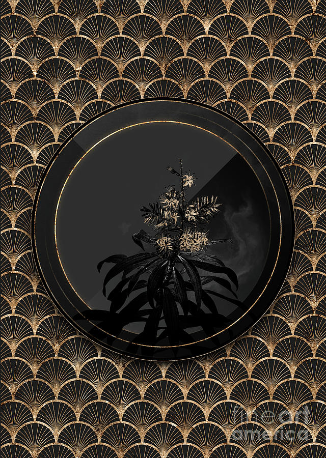 Shadowy Black Pleomele Botanical Art with Gold Art Deco Mixed Media by Holy Rock Design