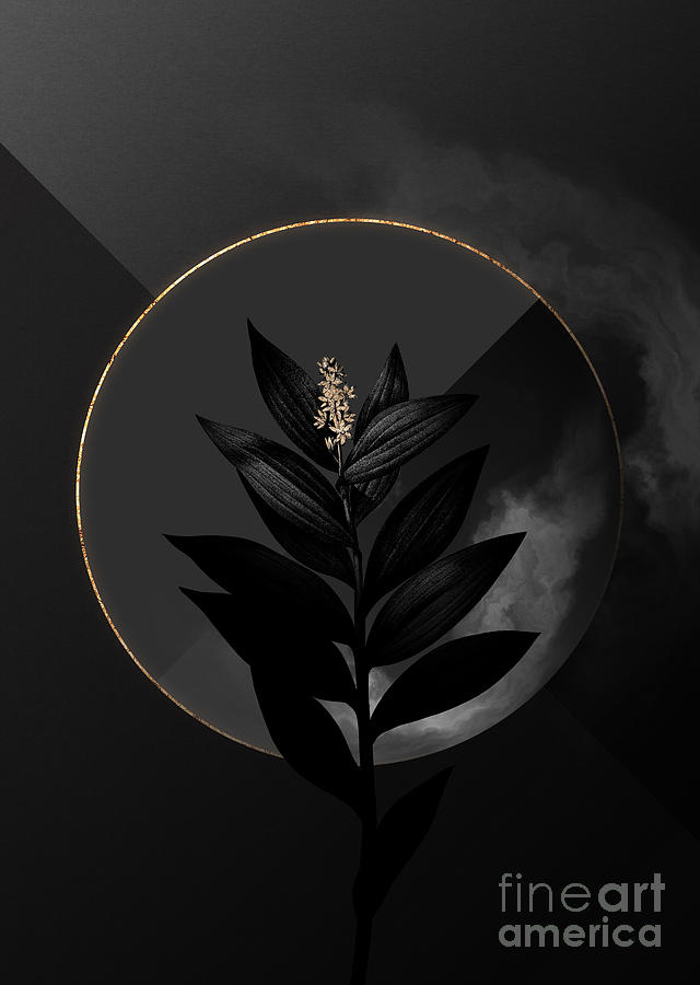 Shadowy Black Smilacina Stellata Botanical Art with Gold Mixed Media by Holy Rock Design