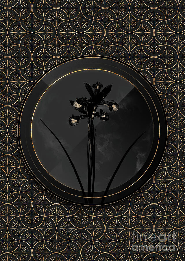 Shadowy Black Spanish Iris Botanical Art with Gold Art Deco Mixed Media by Holy Rock Design