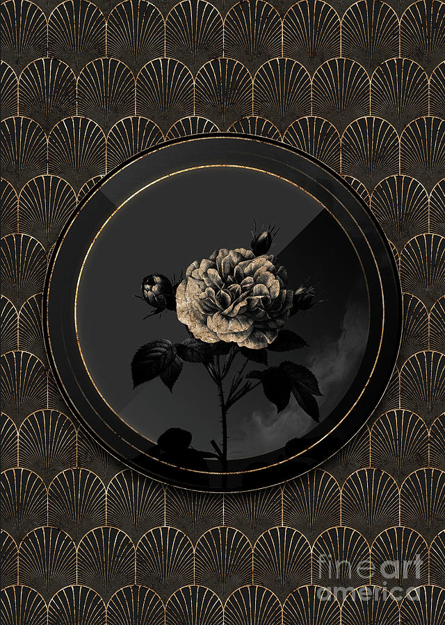 Shadowy Black Vintage Rosa Alba Botanical Art with Gold Art Deco Mixed Media by Holy Rock Design