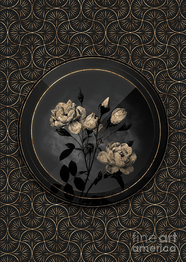 Shadowy Black Vintage White Rose Botanical Art with Gold Art Deco Mixed Media by Holy Rock Design