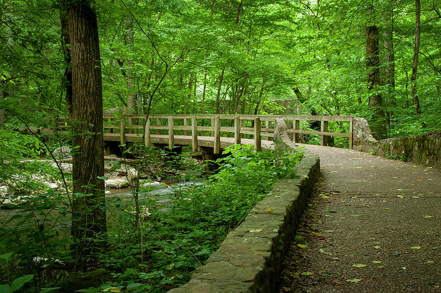 Shady Bridge Photograph by Lisa Ray - Fine Art America