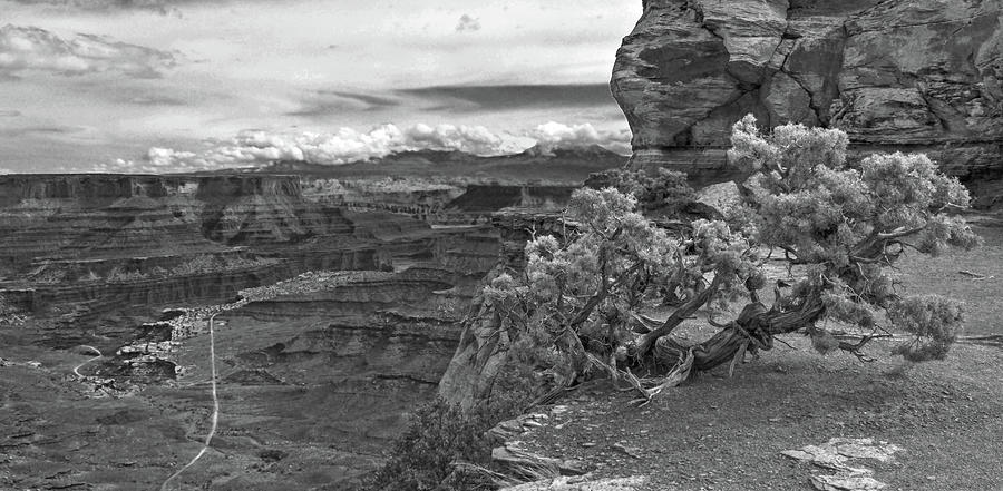 Shafer Trail Overlook Photograph by Peter J Sucy