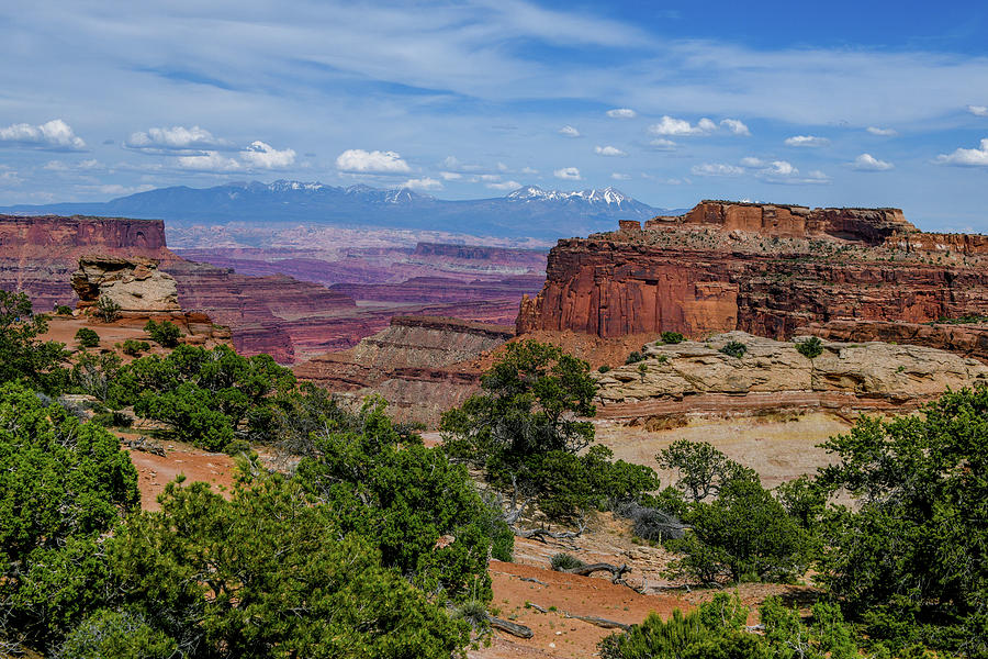 Shafers Trail Overlook II - Canyonlands Photograph by Anthony Sacco