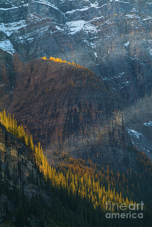 Fall Photograph - Shafts of light on autumn colours, Valley of the Ten Peaks, Banff National Park, Alberta, Canada by Neale And Judith Clark