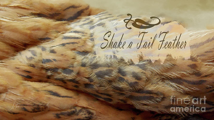 Feather Digital Art - Shake a Tail Feather by Anita Faye