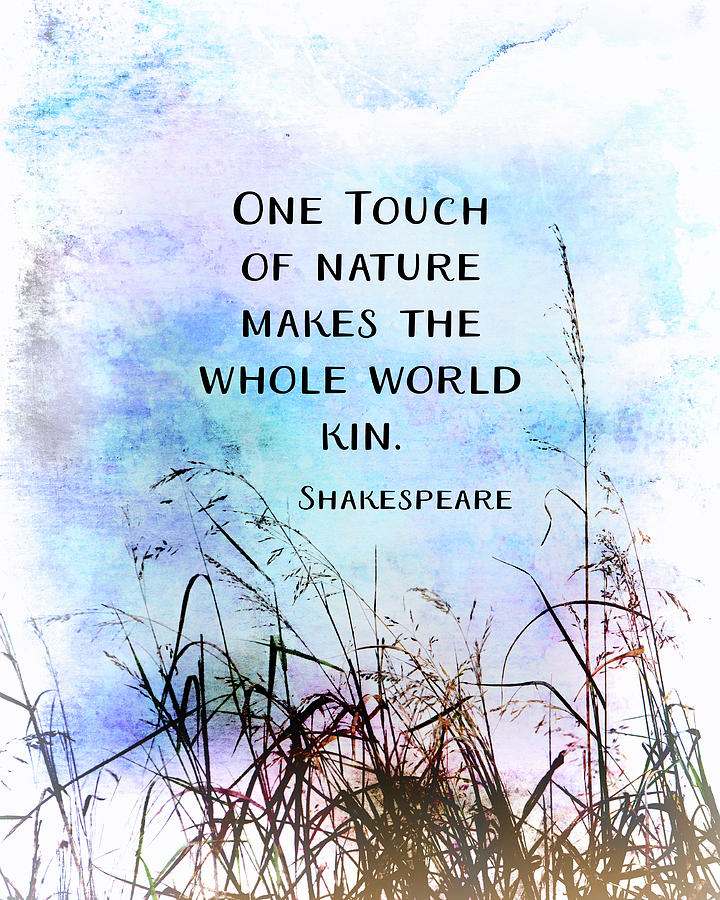 Shakespeare Literary Nature Quote on Blue Qu Mixed Media by Ann Powell