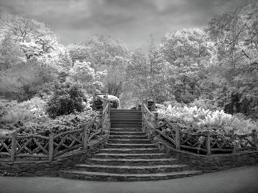 Shakespeares Garden Infrared Photograph by Jessica Jenney