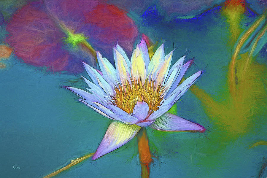 Hera - Lily Digital Art by Terry Cork
