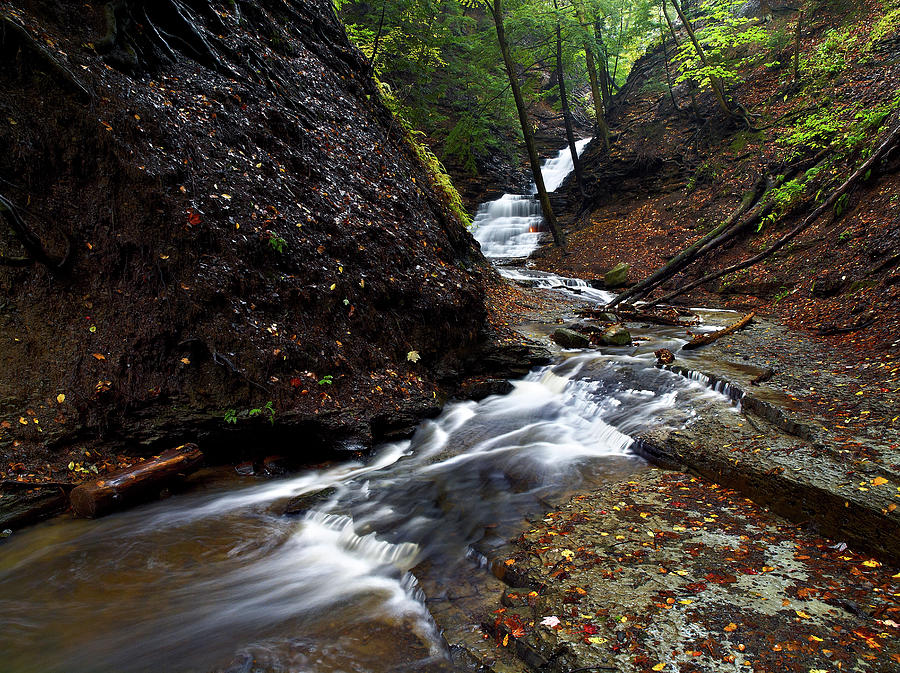 Shale Creek Gorge - Orchard Park 2 Photograph by Matthew Conheady ...